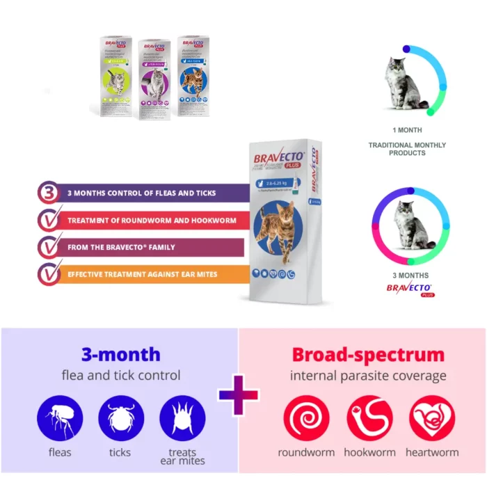 Bravecto-plus-worm-tick-flea-treatment-for-cats Bravecto-plus-worm-tick-flea-treatment-for-cats