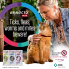 bravecto-cat-spot-on-plus