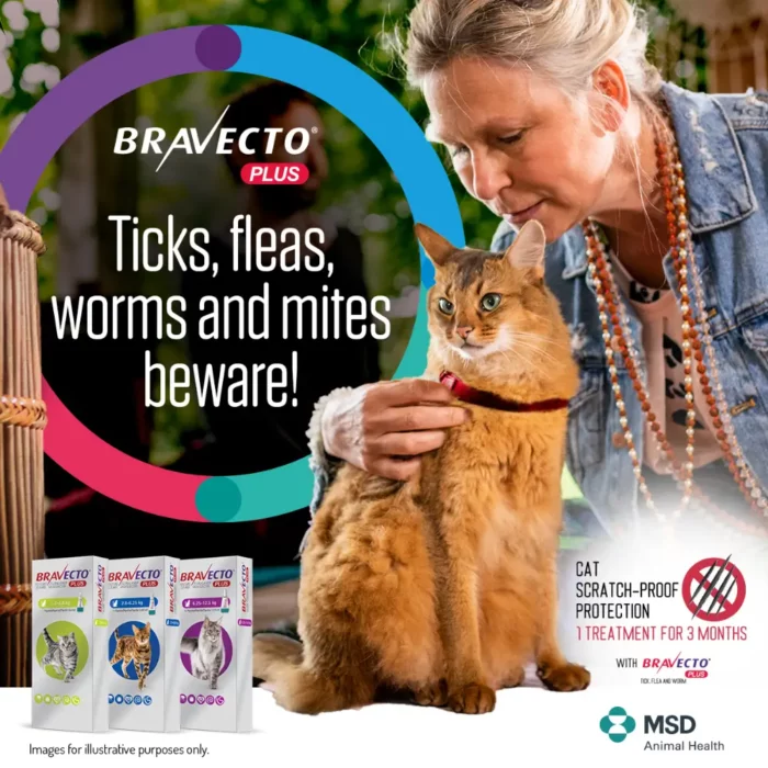 bravecto-cat-spot-on-plus bravecto-cat-spot-on-plus