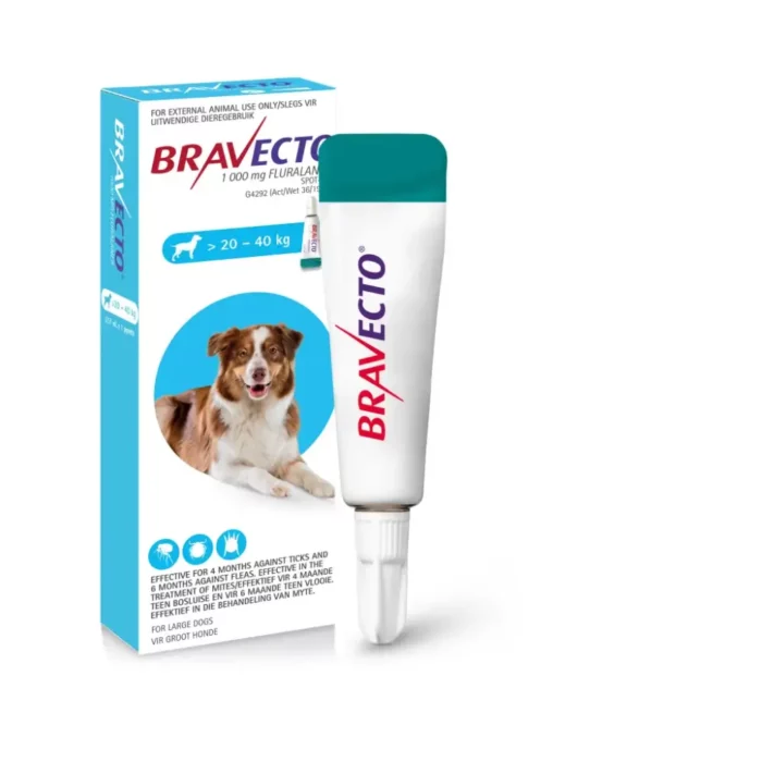 bravecto-large-20kg-40kg