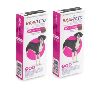 Dog Allergies in South Africa: Why Your Dog Is Itchy (And It’s Not Just the Food) 6 bravecto-x-large-dog-40-56kgs-2pack