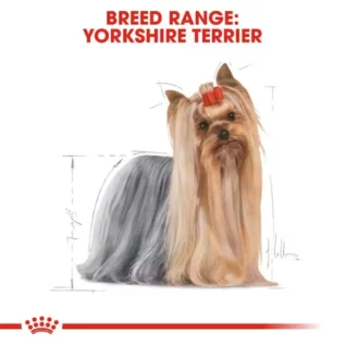 royal-canin-adult-yorkshire-terrier royal-canin-adult-yorkshire-terrier
