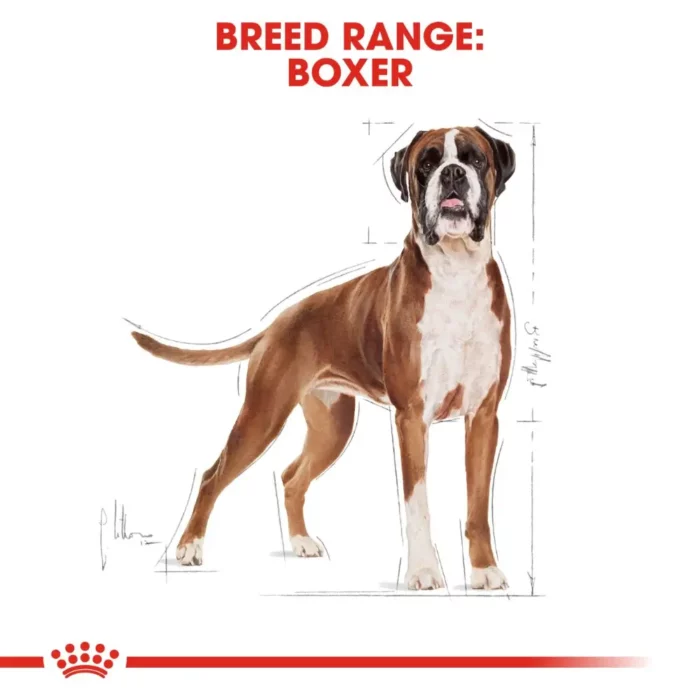 royal-canin-boxer-adult royal-canin-boxer-adult