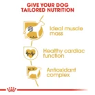 royal-canin-boxer-adult-nutrition