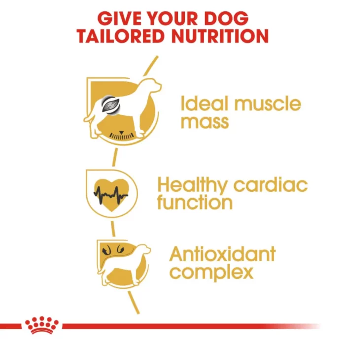 royal-canin-boxer-adult-nutrition royal-canin-boxer-adult-nutrition