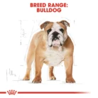 royal-canin-bulldog-adult