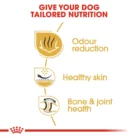 royal-canin-bulldog-adult-life