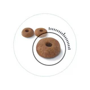 royal-canin-cat-digest-sensitive-dry-food-kibble royal-canin-cat-digest-sensitive-dry-food-kibble