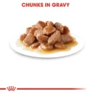 royal-canin-cat-digest-sensitive-gravy-plated-gravy