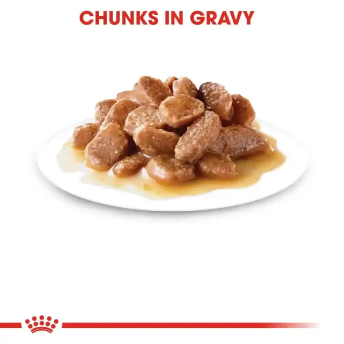 royal-canin-cat-digest-sensitive-gravy-plated-gravy royal-canin-cat-digest-sensitive-gravy-plated-gravy