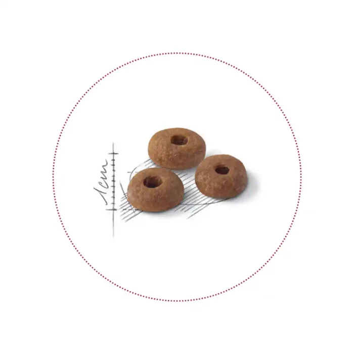 royal-canin-cat-fit-32-kibble royal-canin-cat-fit-32-kibble