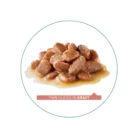 royal-canin-cat-hairball-care-gravy