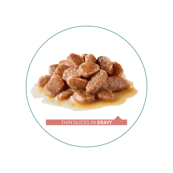 royal-canin-cat-hairball-care-gravy royal-canin-cat-hairball-care-gravy