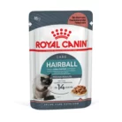 royal-canin-cat-hairball-care-pouch