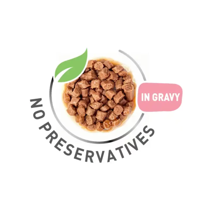 royal-canin-cat-kitten-gravy-plated-chunks royal-canin-cat-kitten-gravy-plated-chunks