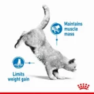 royal-canin-cat-light-weight-care-gravy-cat