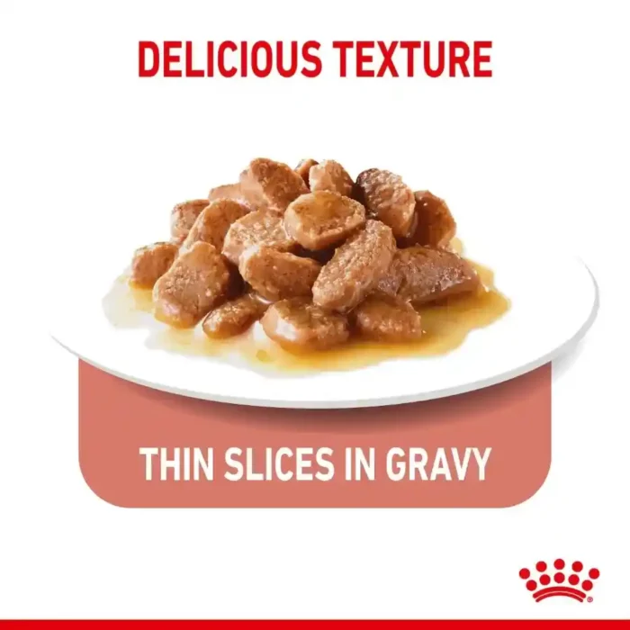 royal-canin-cat-light-weight-care-gravy-thin-slices-in-gravy royal-canin-cat-light-weight-care-gravy-thin-slices-in-gravy