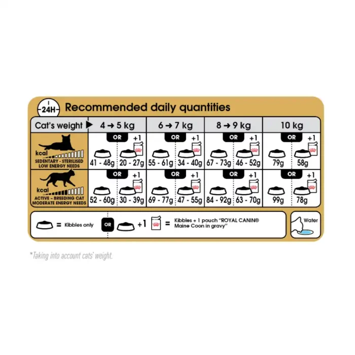 royal-canin-cat-maine-coon-feeding-table royal-canin-cat-maine-coon-feeding-table