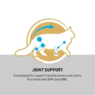 royal-canin-cat-maine-coon-joint-support