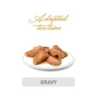 royal-canin-cat-maine-coon-wet-cat-food-plated-gravy-chunks