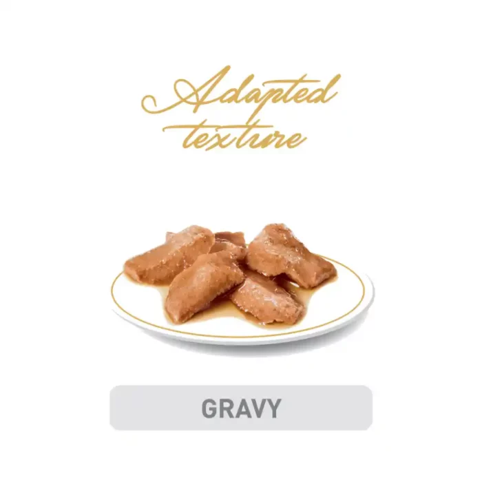 royal-canin-cat-maine-coon-wet-cat-food-plated-gravy-chunks royal-canin-cat-maine-coon-wet-cat-food-plated-gravy-chunks