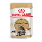 royal-canin-cat-maine-coon-wet-cat-food-pouch