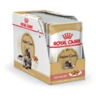 royal-canin-cat-maine-coon-wet-cat-food-twelve-pouch-pack