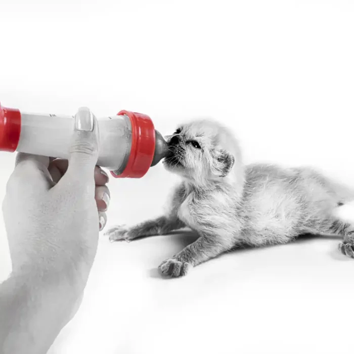 royal-canin-cat-milk-wet-bottle-feeding-kitten royal-canin-cat-milk-wet-bottle-feeding-kitten