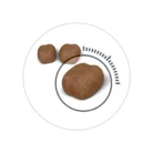 royal-canin-cat-oral-care-kibble