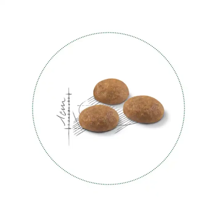 royal-canin-cat-outdoor-kibble royal-canin-cat-outdoor-kibble