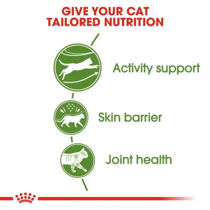 royal-canin-cat-outdoor-tailored-nutrition royal-canin-cat-outdoor-tailored-nutrition