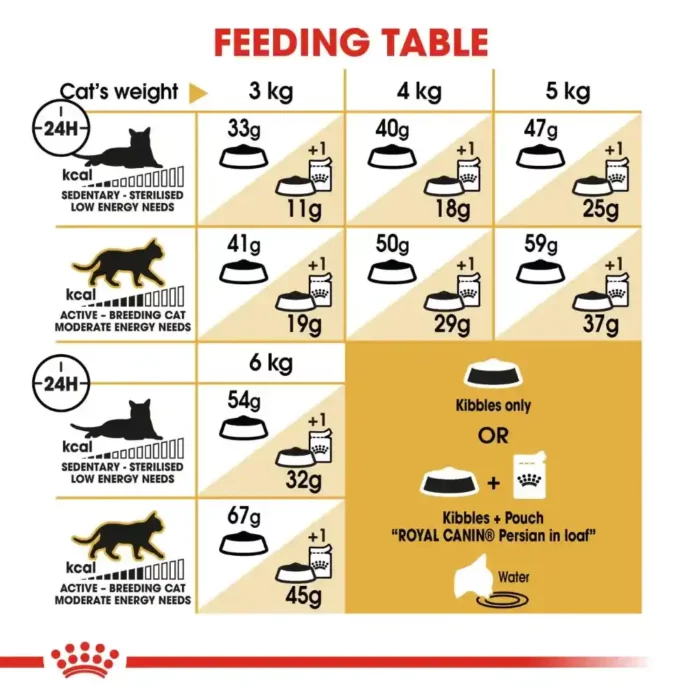 royal-canin-cat-persian-adult-simplified royal-canin-cat-persian-adult-simplified