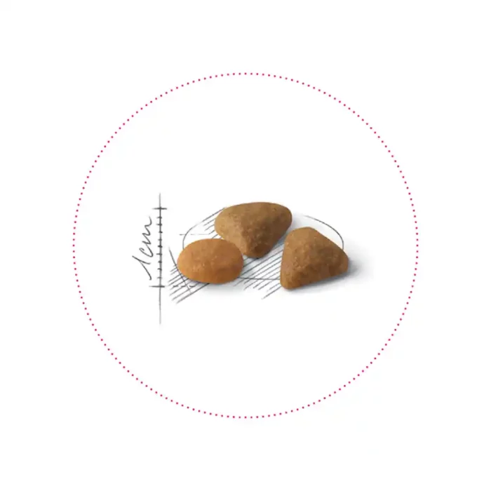 royal-canin-cat-savour-exigent-kibble royal-canin-cat-savour-exigent-kibble