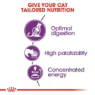 royal-canin-cat-sensible-33-nutrition