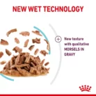 royal-canin-cat-sensory-feel-05