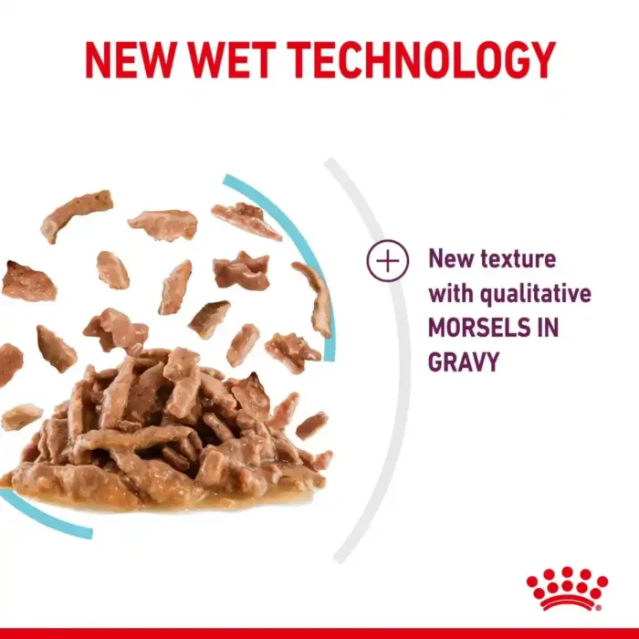 royal-canin-cat-sensory-feel-05 royal-canin-cat-sensory-feel-05