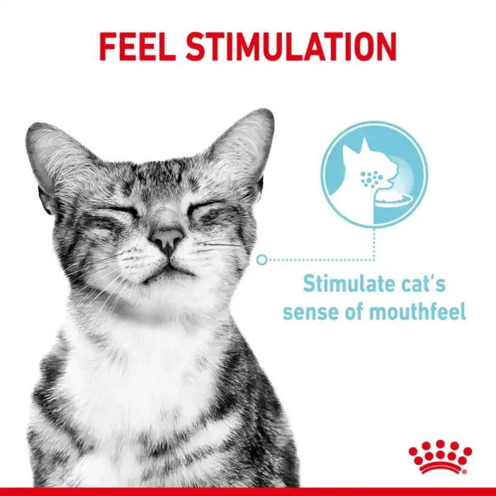royal-canin-cat-sensory-feel-experience royal-canin-cat-sensory-feel-experience