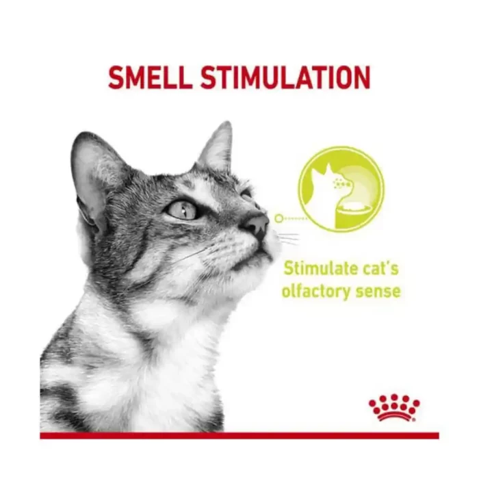 royal-canin-cat-sensory-smell royal-canin-cat-sensory-smell