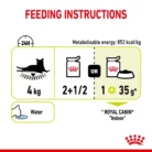 royal-canin-cat-sensory-smell-feeding-table