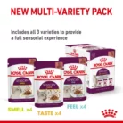 royal-canin-cat-sensory-smell-multi-variety-pack