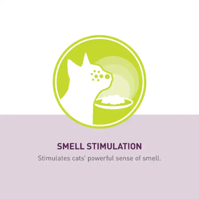 royal-canin-cat-sensory-smell-stimulation royal-canin-cat-sensory-smell-stimulation