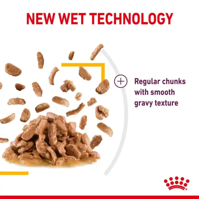 royal-canin-cat-sensory-taste-new-wet-technology royal-canin-cat-sensory-taste-new-wet-technology