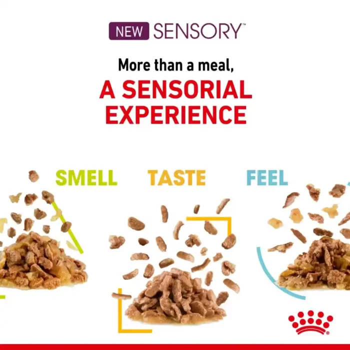 royal-canin-cat-sensory-taste-sensual-experience royal-canin-cat-sensory-taste-sensual-experience