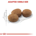 royal-canin-cat-sterilised-37-kibble