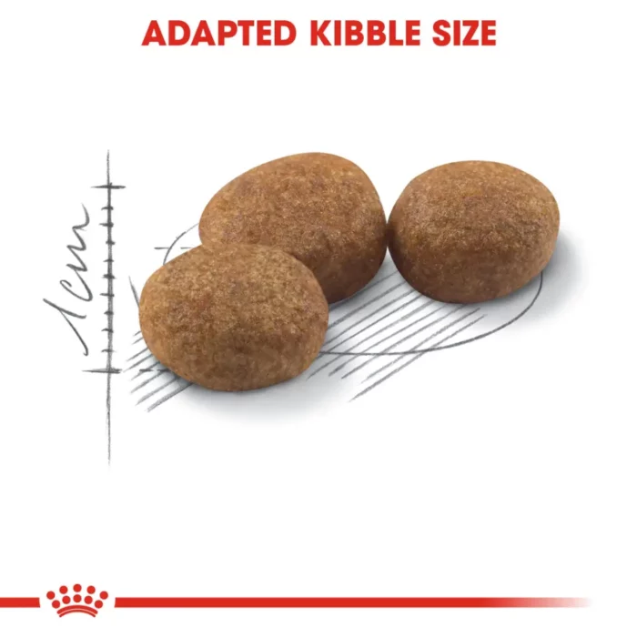 royal-canin-cat-sterilised-37-kibble royal-canin-cat-sterilised-37-kibble