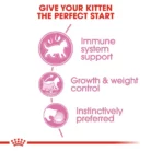 royal-canin-cat-sterilised-kitten-jelly-nutrition