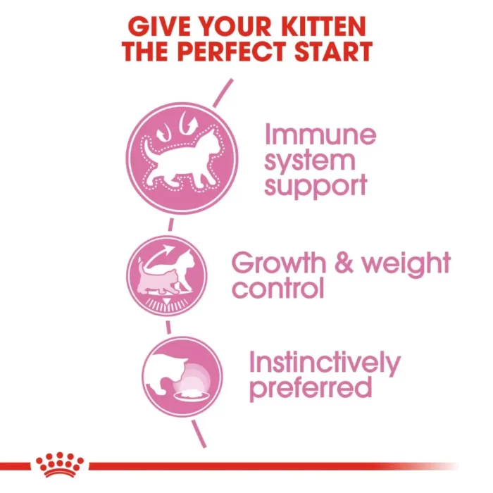 royal-canin-cat-sterilised-kitten-jelly-nutrition royal-canin-cat-sterilised-kitten-jelly-nutrition