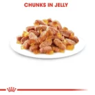 royal-canin-cat-sterilised-kitten-jelly-plated