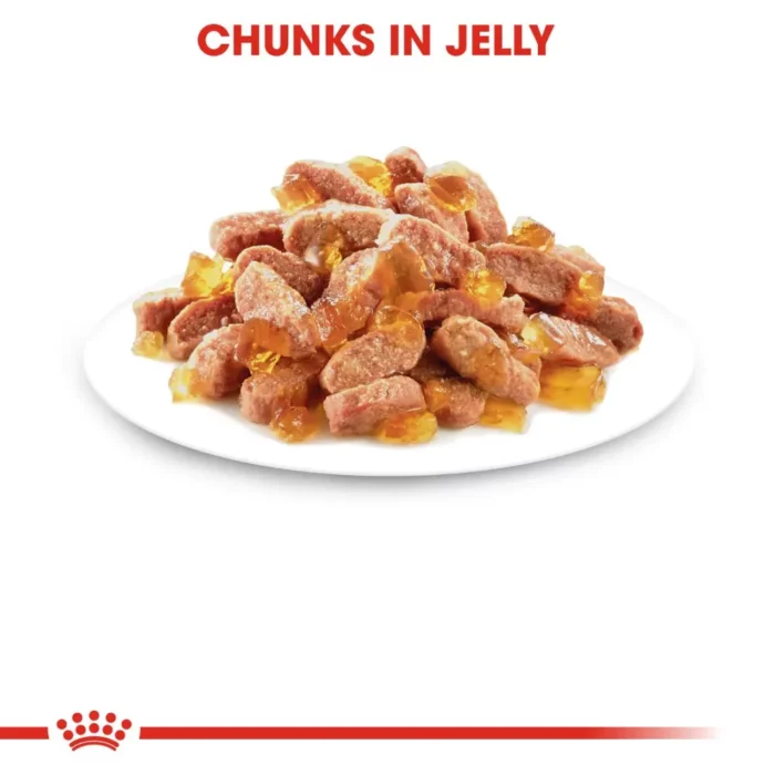 royal-canin-cat-sterilised-kitten-jelly-plated royal-canin-cat-sterilised-kitten-jelly-plated