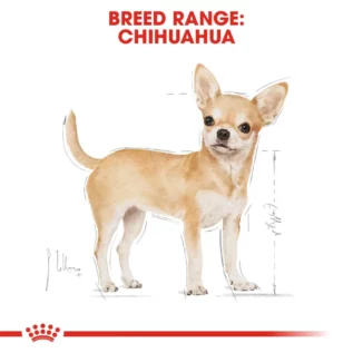 royal-canin-chihuahua